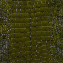 Load image into Gallery viewer, Crocodile Grace clutch